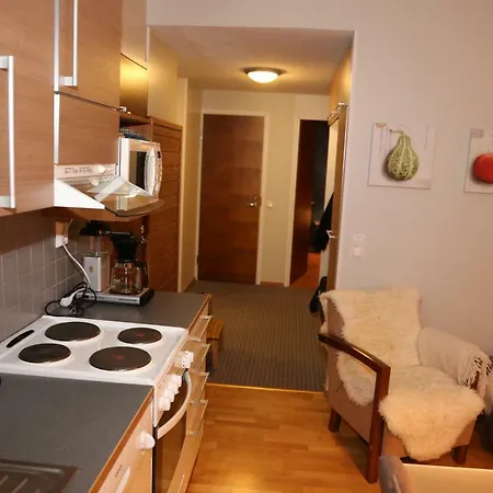 Ice Lapland I アパート