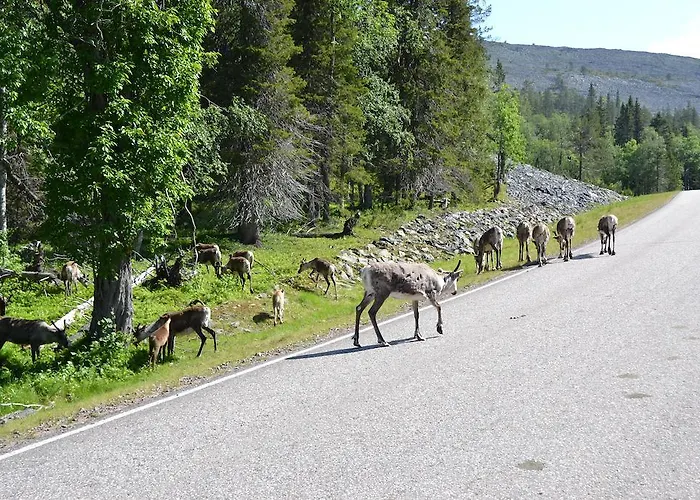 Ice Lapland I Ylläsjärvi