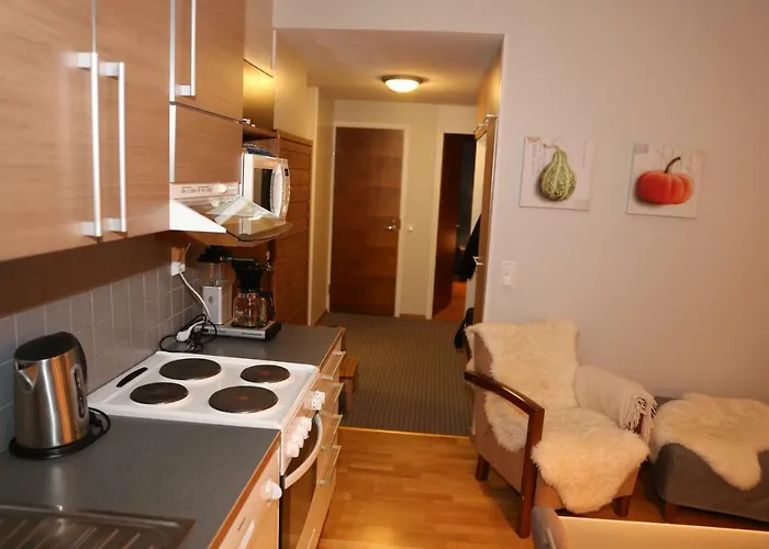 Ice Lapland I דירה